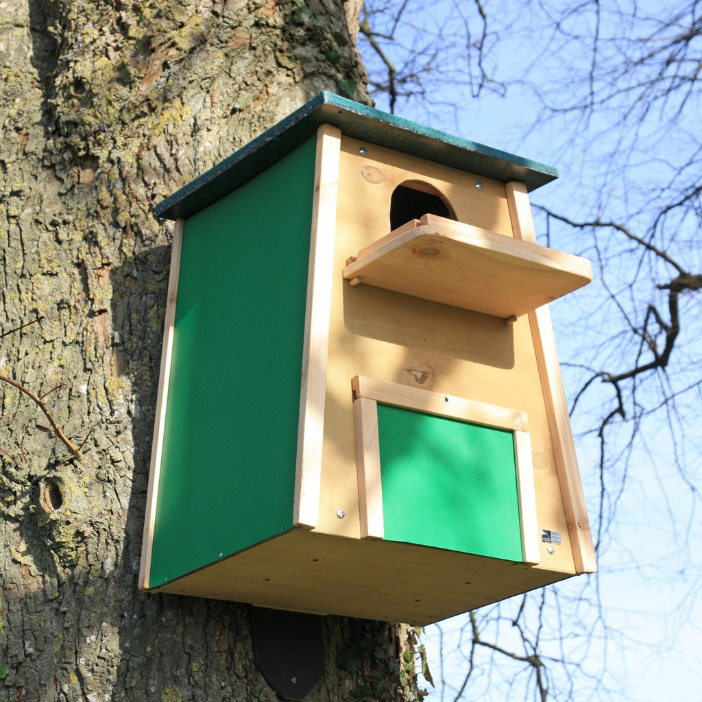 Handmade Barn Owl Nest Box