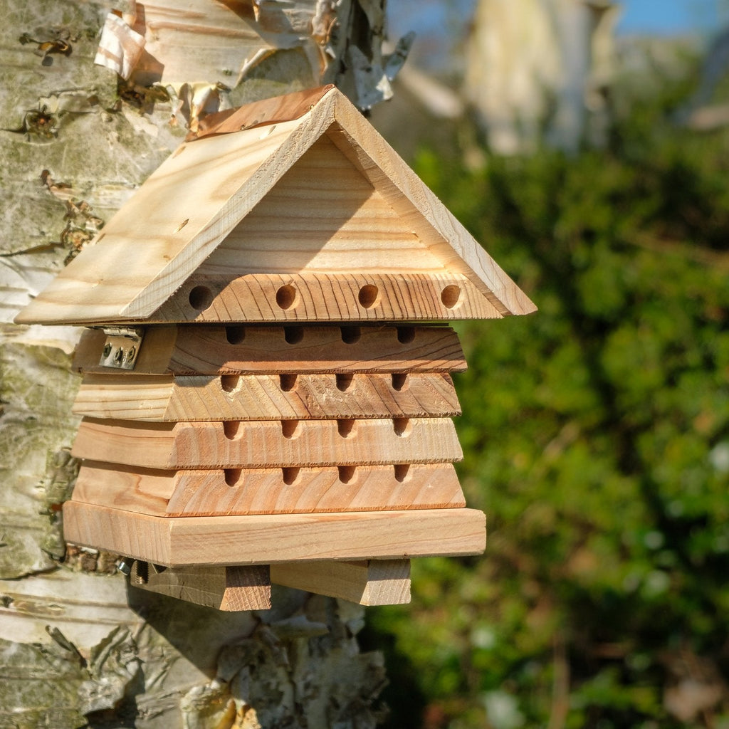 Wildlife World Solitary Bee Hive