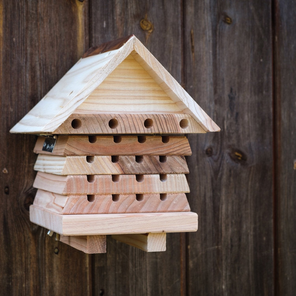 Solitary Bee Hive