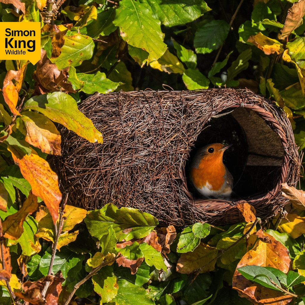 Simon King Brushwood Robin Nester