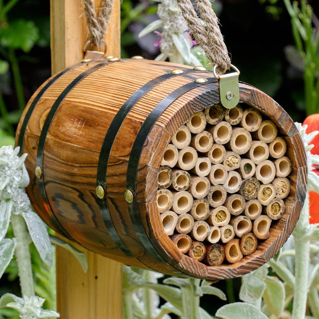 The Bee Barrel