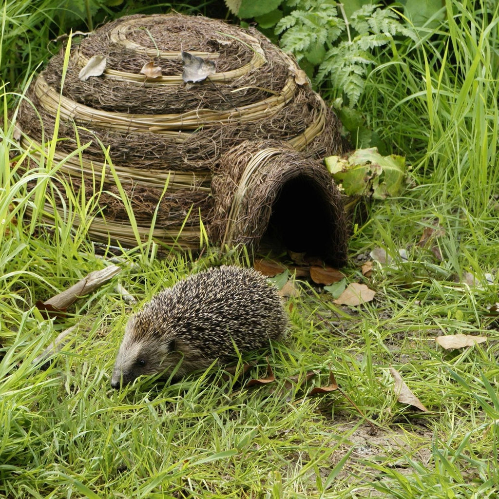 Hedgehog Shelter/Retreat